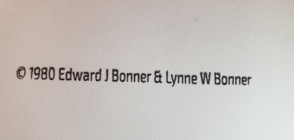 Ronald Reagan - 1980 Presidential Campaign - Picture 5 of 5